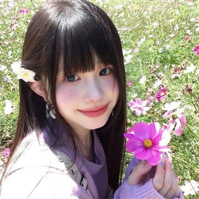 鸟儿们的奇幻冒险 封面