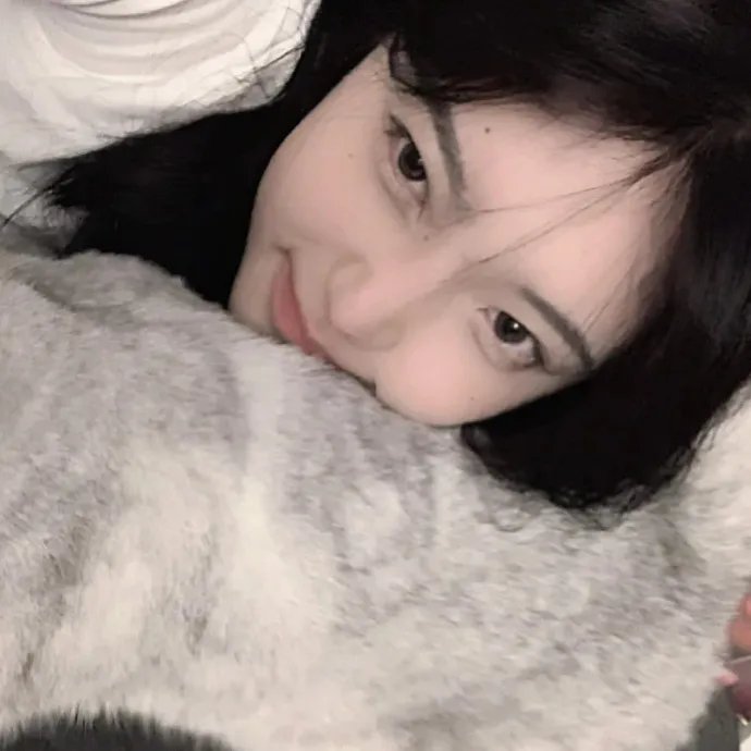 鲨鱼的儿子 封面